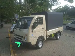 Tata Dimo Batta 2011 Lorry (Used)