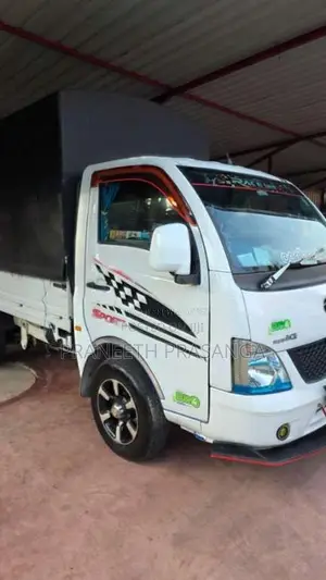 Tata Dimo Batta 2019 Lorry (Used)