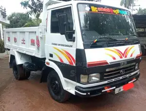 Tata 909 Tipper 2010 Lorry (Used)