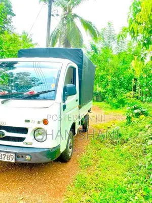 Tata Dimo Batta 2007 Lorry (Used)