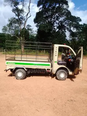 Tata Dimo Batta 2009 Lorry (Used)