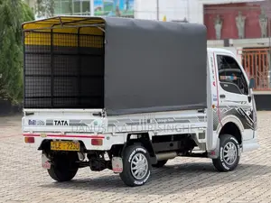 Tata Dimo Batta 2007 Lorry (Used)