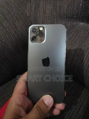 Apple iPhone 12 Pro L (Used)