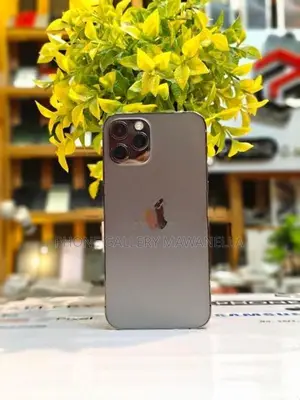 Apple iPhone 12 Pro 512GB (Used)