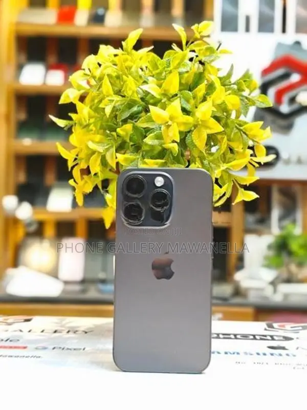 Apple iPhone 15 Pro 256GB (Used)