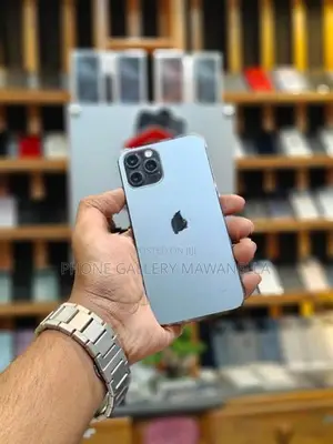Apple iPhone 12 Pro 512GB (Used)