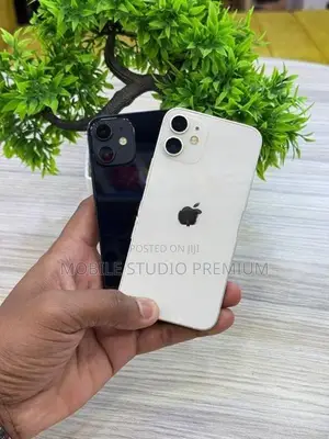 Apple iPhone 12 mini (Used)