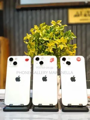 Apple iPhone 13 128GB (Used)