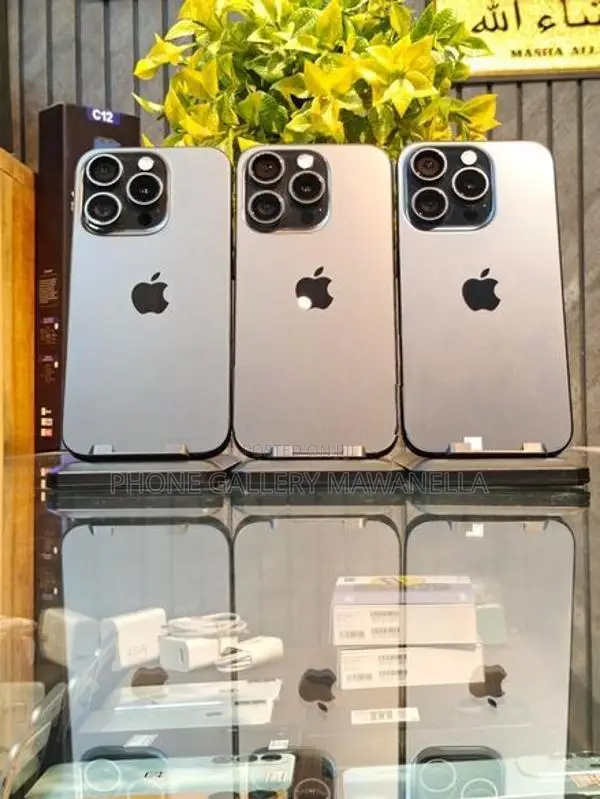 Apple iPhone 15 Pro Max 256GB (Used)