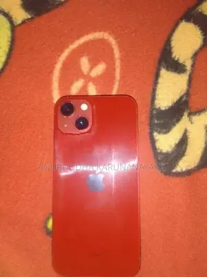 Apple iPhone 13 (Used)