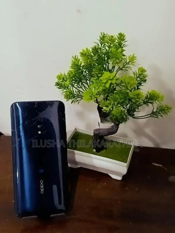 Oppo Reno Z (Used)