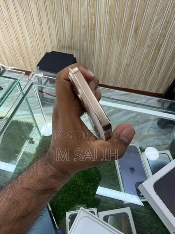 Apple iPhone 16 Pro Max 256 GB (Used)