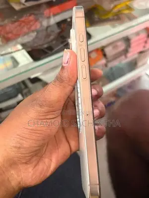 Apple iPhone 16 Pro Max (Used)