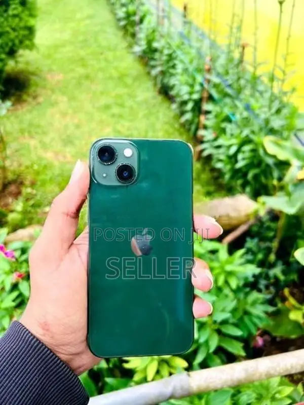 Apple iPhone 13 (Used)