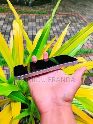 Apple iPhone 13 (Used)