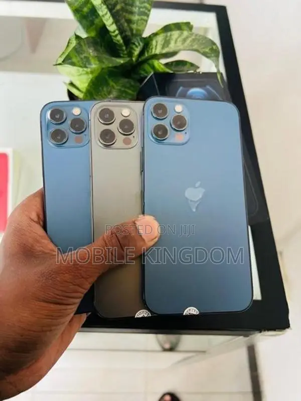 Apple iPhone 12 Pro 256GB Fullset (Used)