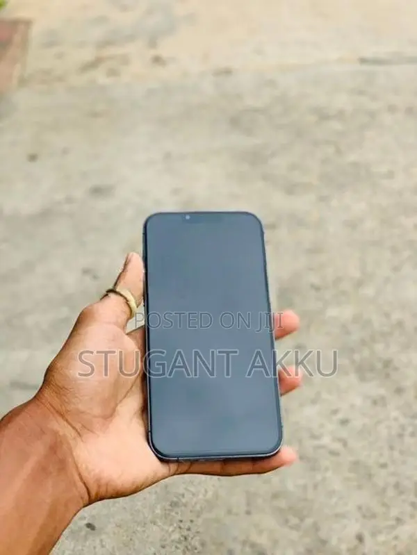 Apple iPhone 13 Pro Max (Used)