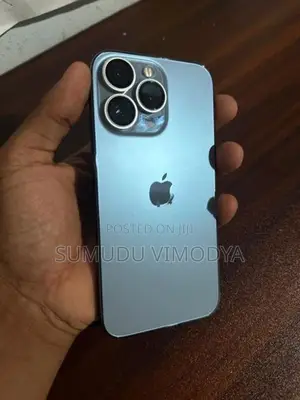 Apple iPhone 13 Pro (Used)
