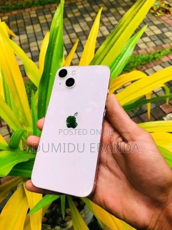 Apple iPhone 13 (Used)