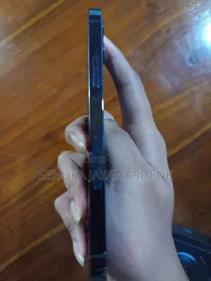 Apple iPhone 12 Pro (Used)
