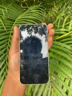 Apple iPhone 13 (Used)