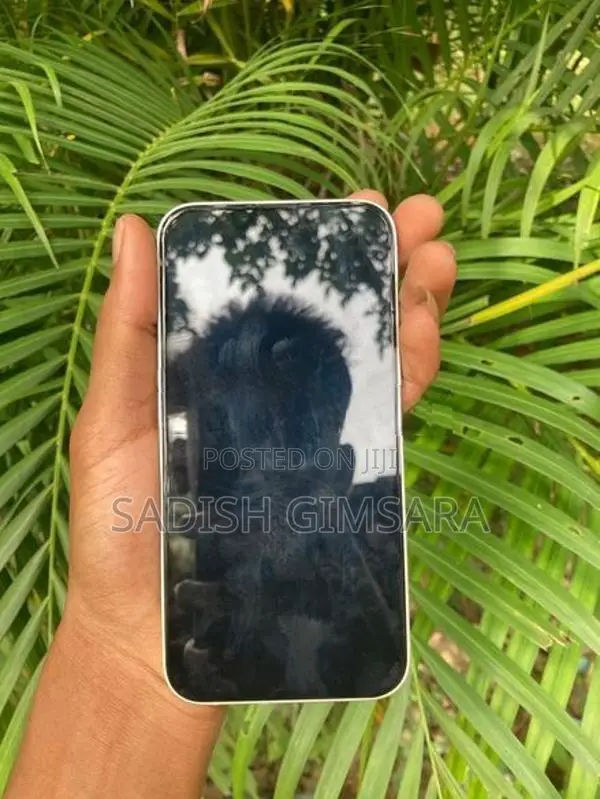 Apple iPhone 13 (Used)