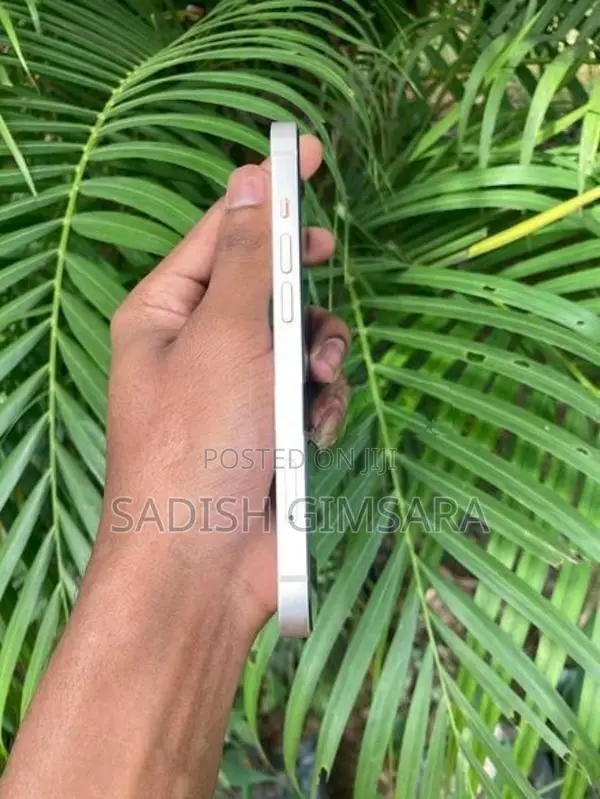 Apple iPhone 13 (Used)