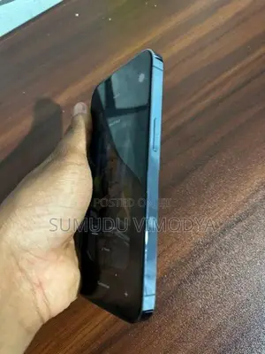 Apple iPhone 13 Pro (Used)