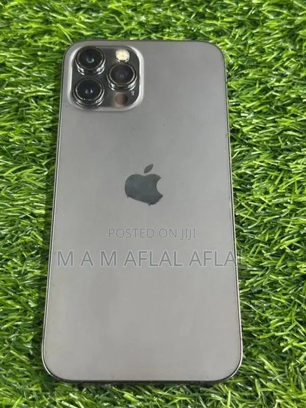 Apple iPhone 12 Pro Max (Used)
