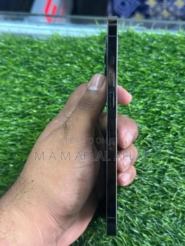 Apple iPhone 12 Pro Max (Used)