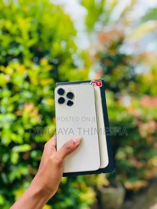 Apple iPhone 13 Pro Max (Used)