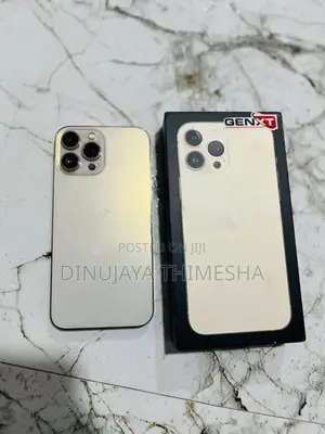Apple iPhone 13 Pro Max (Used)