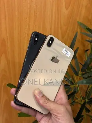 Apple iPhone XS Max 64GB (Used)