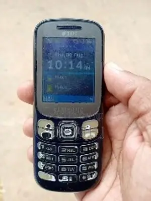 Samsung B313E (Used)