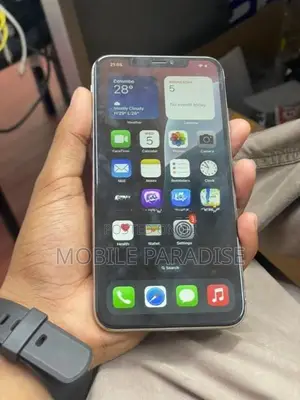Apple iPhone XS Max 256 (Used)