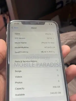 Apple iPhone XS Max 256 (Used)