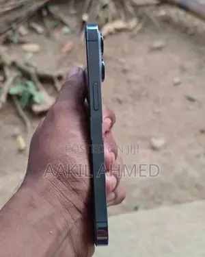Apple iPhone 13 Pro (Used)