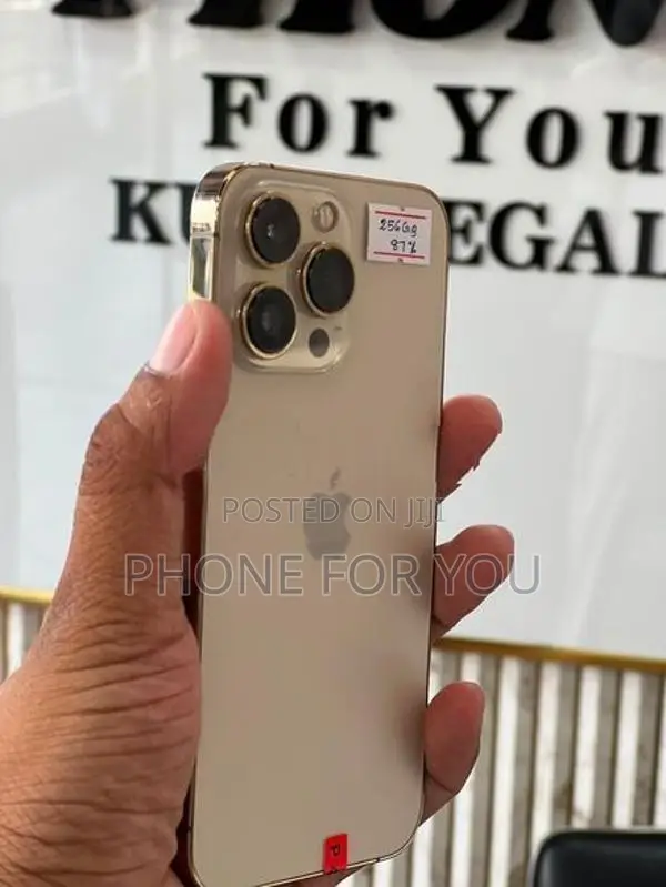 Apple iPhone 13 Pro (Used)