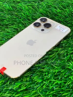 Apple iPhone 13 Pro (Used)