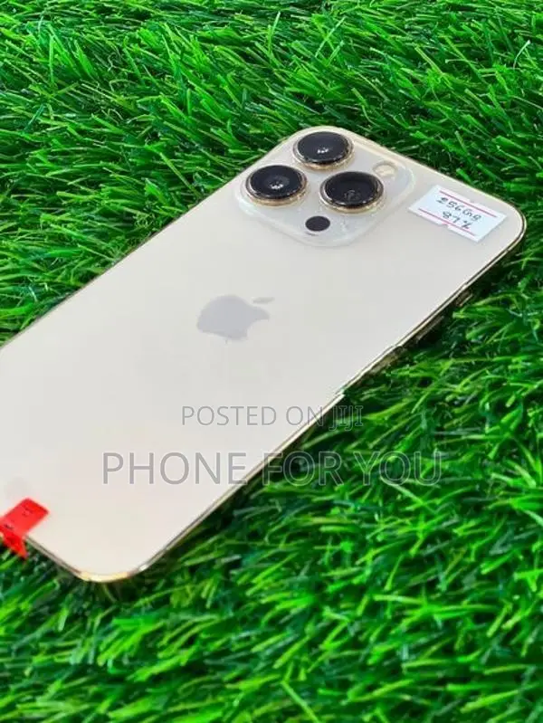 Apple iPhone 13 Pro (Used)