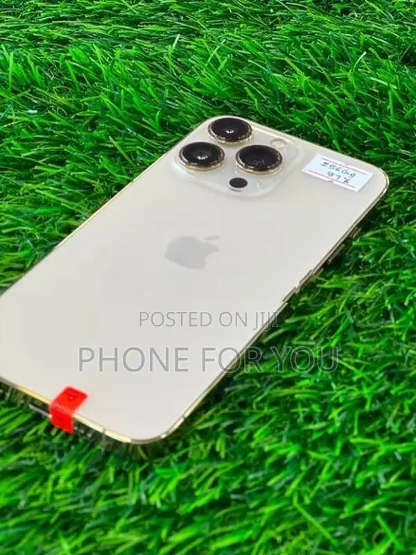 Apple iPhone 13 Pro (Used)