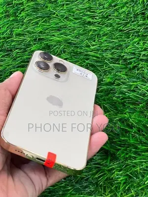 Apple iPhone 13 Pro (Used)