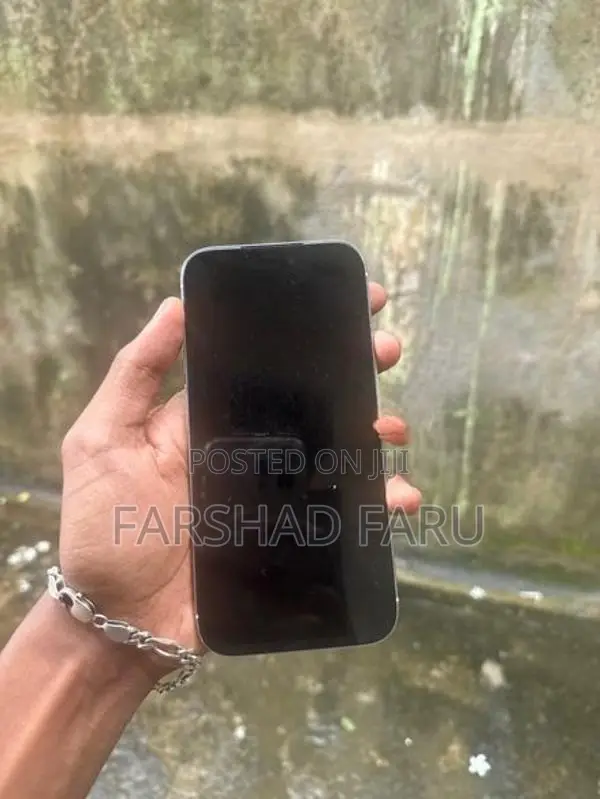 Apple iPhone 17 Pro Max (Used)