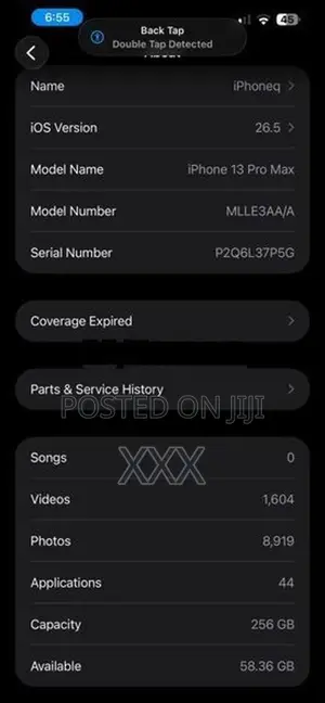 Apple iPhone 13 Pro Max (Used)