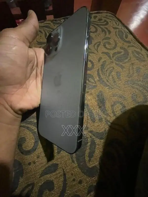 Apple iPhone 13 Pro Max (Used)
