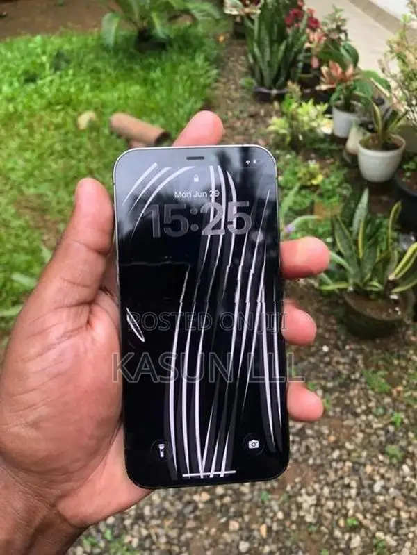 Apple iPhone 12 Pro 256GB (Used)