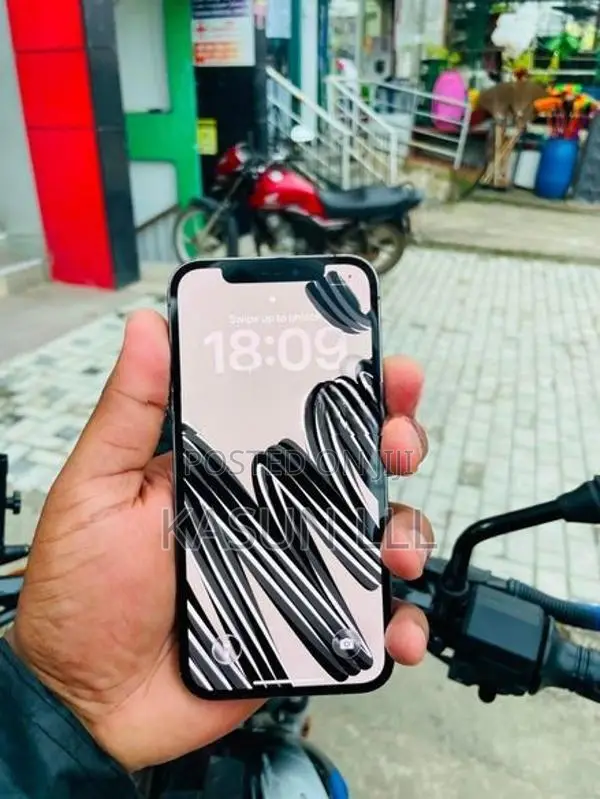 Apple iPhone 12 Pro 256GB (Used)