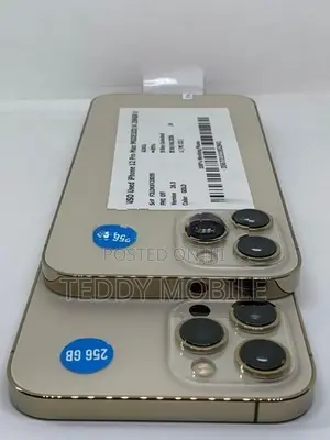 Apple iPhone 12 Pro Max Promax 256GB (Used)