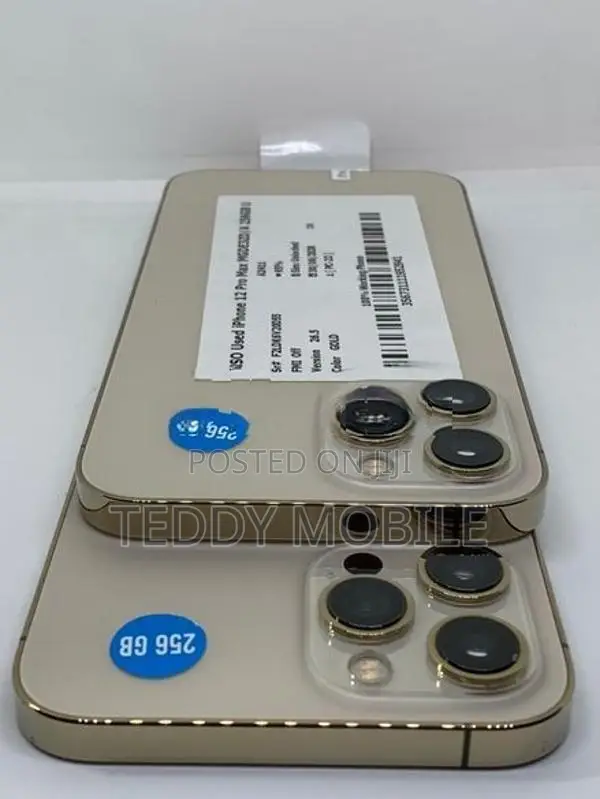 Apple iPhone 12 Pro Max Promax 256GB (Used)