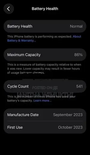 Apple iPhone 15 256GB (Used)